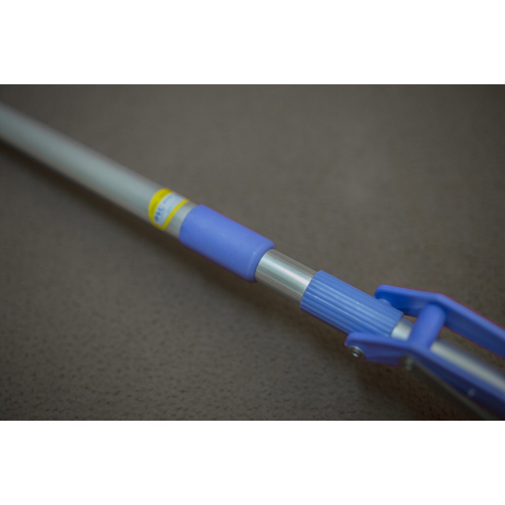 Cây lau mút siêu thấm hút