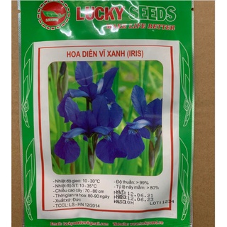 Hạt giống diên vĩ xanh ct519 - gói 10 hạt