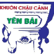 Khuôn Chậu Cảnh Yên Bái