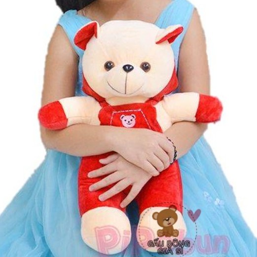 GẤU BÔNG TEDDY ÁO YẾM [50cm] THÚ NHỒI BÔNG TEDDY GIÁ RẺ