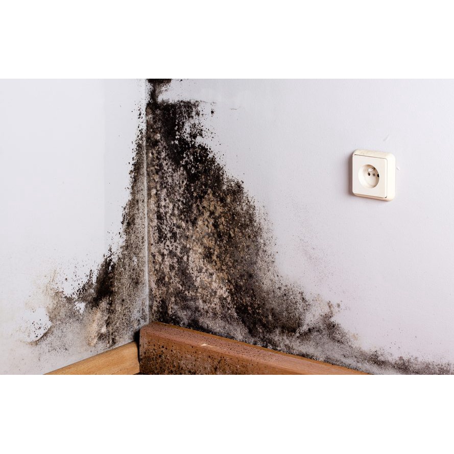 Bref - Xịt tẩy vết bẩn do vi khuẩn nấm mốc của Bref trong nhà vệ sinh, trên đồ nội thất chai 750 ml