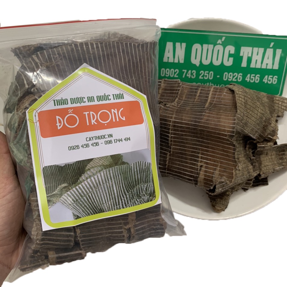 1kg Đỗ Trọng (Sạch, Đẹp) Bổ Thận Tráng Dương, Mạnh Gân Cốt