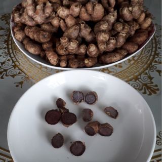 Cây ngãi đen giốg