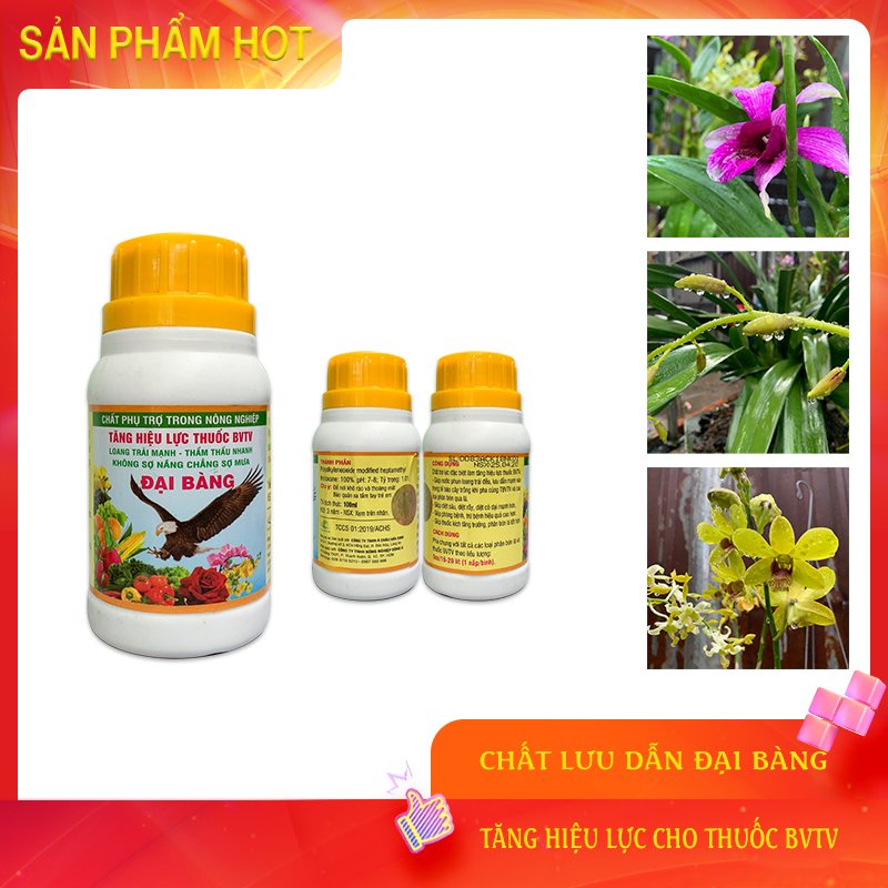 CHẤT LƯU DẪN ĐẠI BÀNG TĂNG HIỆU QUẢ PHÂN BÓN