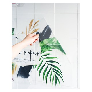 Miếng dán bếp trong suốt