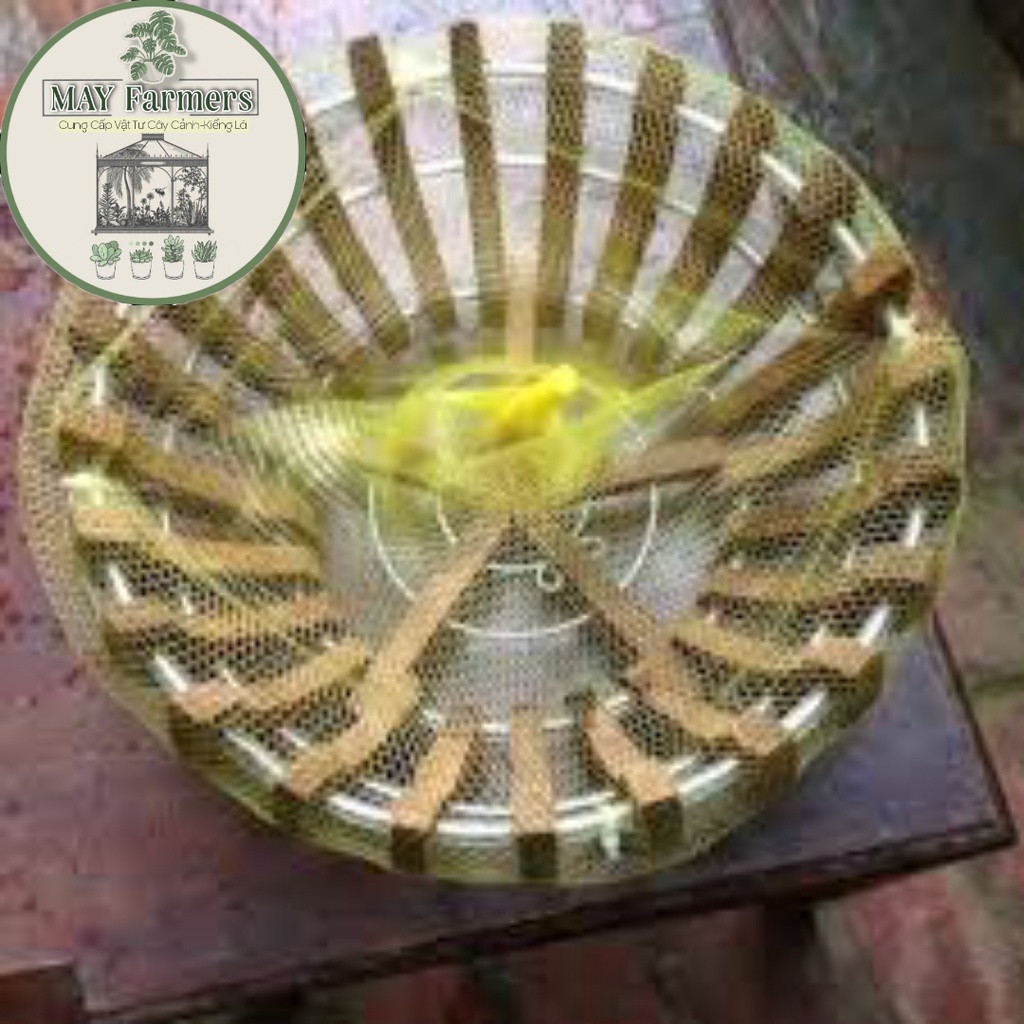 COMBO 10 CÁI LƯỚI LÓT CHẬU LAN