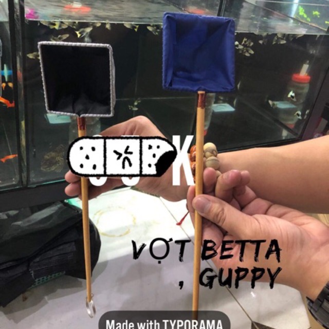 Vợt cá Betta, guppy