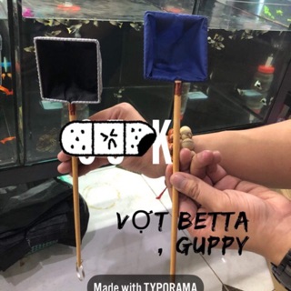 Vợt cá Betta, guppy
