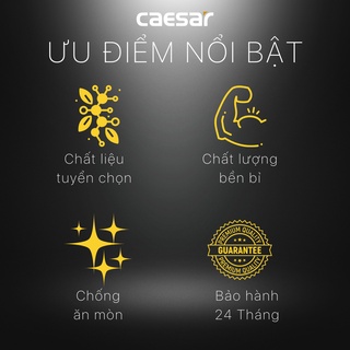 Van khống chế nhựa BF403P -BF427P CAESAR