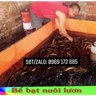 Bể bạt nuôi ốc ếch cá lươn tôm cua baba... Tặng van xả nước