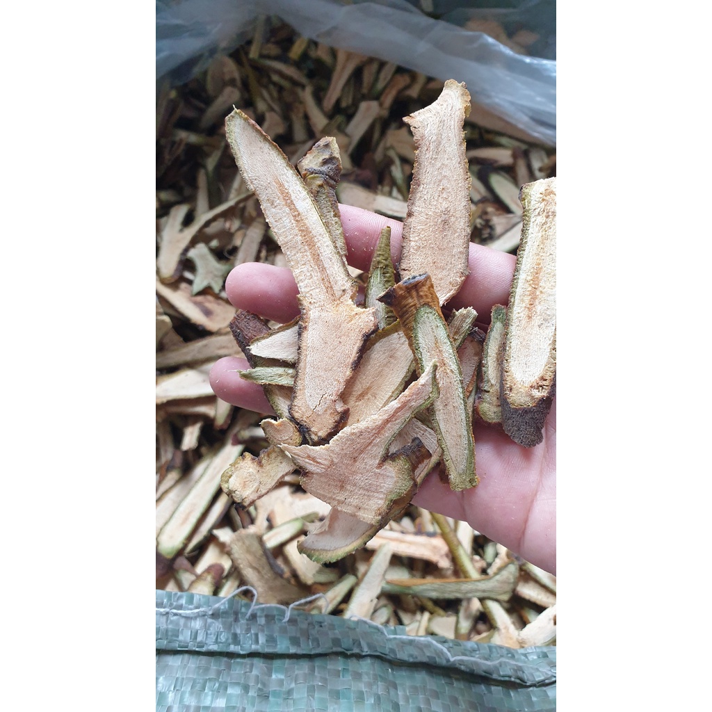 TANG KÝ SINH  - Tuệ Minh