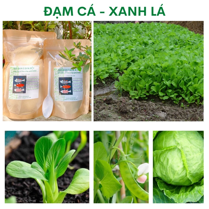 ĐẠM CÁ DẠNG BỘT 125-250LÍT