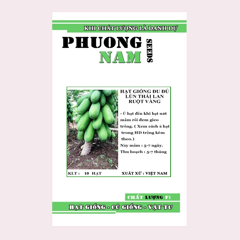 10H - HẠT GIỐNG ĐU ĐỦ RUỘT VÀNG