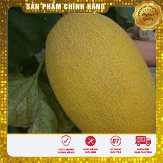 Hạt Giống Dưa Lưới Vàng(10 hạt)