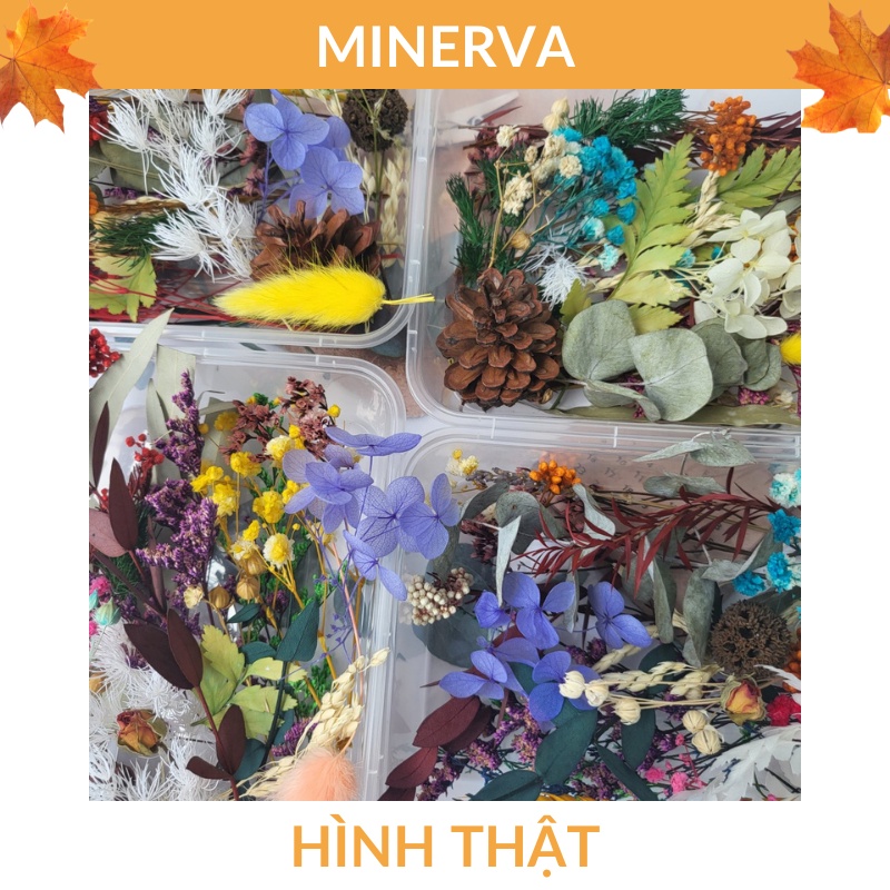 Hộp HOA KHÔ trang trí đa dạng mẫu mã , màu sắc làm đồ thủ công handmade , trang trí nến thơm, đổ resin