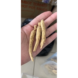 Nhân Sâm Hoa Kỳ ( Sâm Tây Dương )