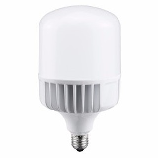 Bóng điện LED siêu sáng 10w