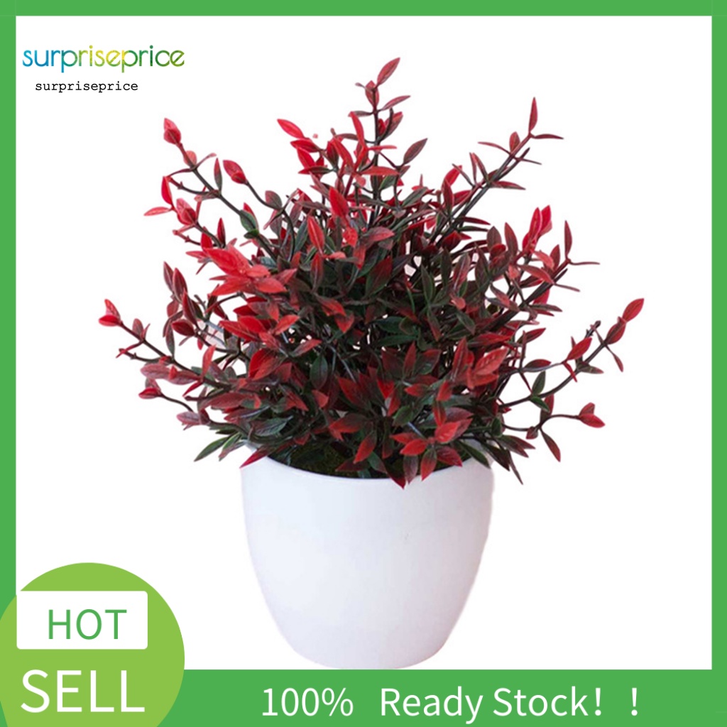 Chậu Cây Bonsai Nhân Tạo Xinh Xắn Dùng Trang Trí