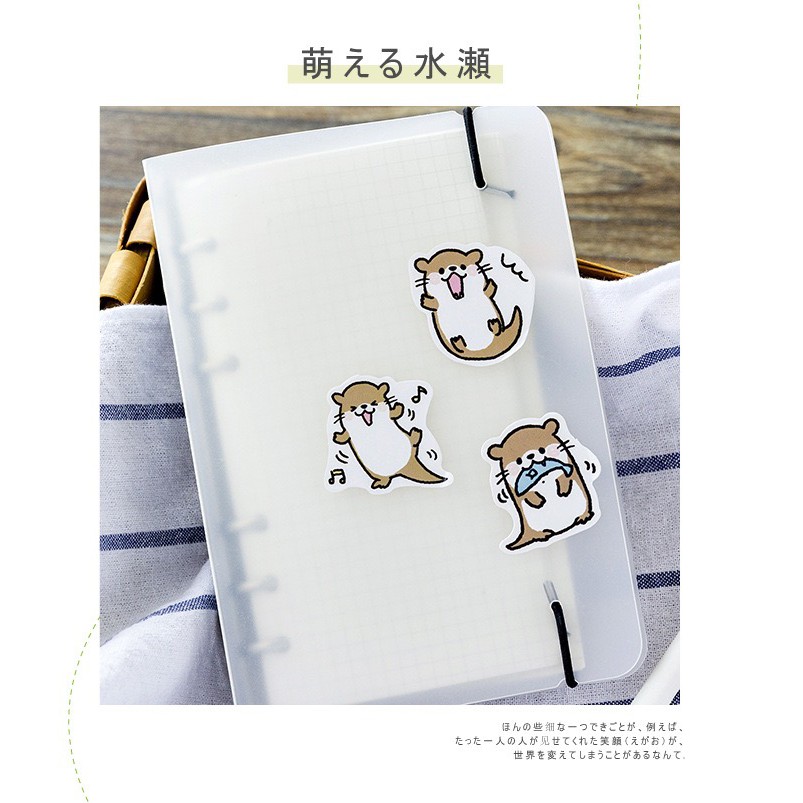 Bộ sticker/ Hình dán Kiểu Dáng Bé Hải Cẩu Đáng Yêu (45 Hình)