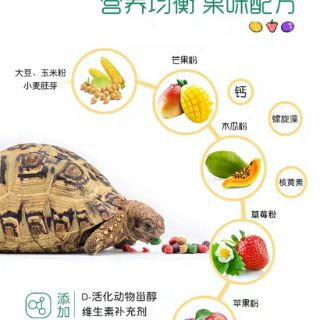 CÓ SẴN REPCAL THỨC ĂN RÙA CẠN IGUANA