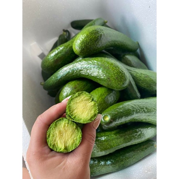 3KG BƠ 034 ( size 2-3 trái 1kg)