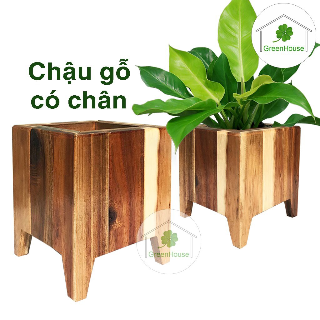 Chậu gỗ tự nhiên trồng cây có chân, trồng sen đá, hoa lan, tiểu cảnh Greenhouse