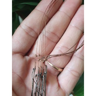 Giò việt cáp se 7 ( giò wip) bộ 7 chân )
