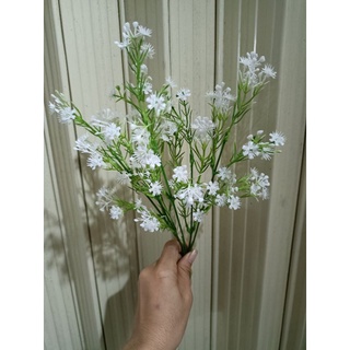hoa Babi giả 1 cụm