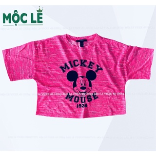 Áo croptop cánh dơi áo lửng f21 vnxk tay lỡ micky hồng sậm