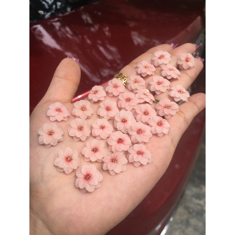 Hoa Bột Mỹ - Hoa thược dược