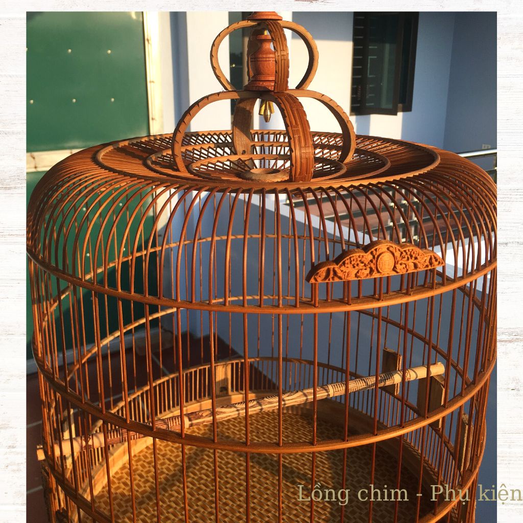 Lồng chim Chòe, Lồng chim Chòe trúc già họa tiết đẹp