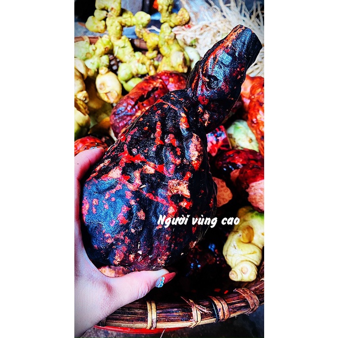 Cao Hà Thủ Ô Đỏ [Xanh Tóc, Đẹp Da, Ngăn Ngừa Rụng Tóc]