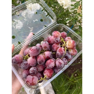 [ GIAO HỎA TỐC HCM ] [ JENNY FRUIT ] - NHO các loại