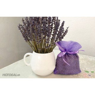 TÚI NỤ HOA LAVENDER KHÔ ( hàng chuẩn)