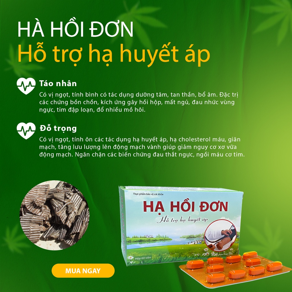 Viên Uống Hạ Hồi Đơn Hỗ Trợ Ổn Định Huyết Áp