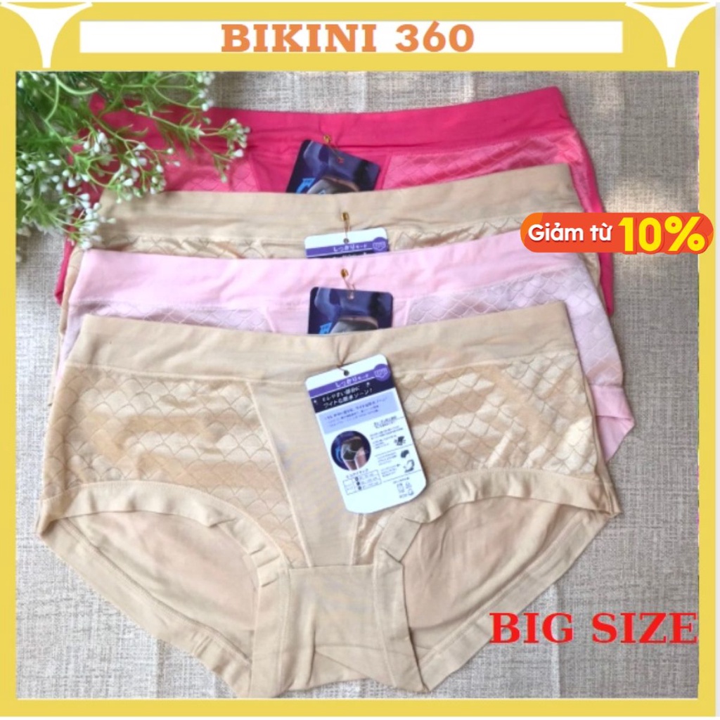 Quần lót nữ xuất Nhật (Q827) cotton thun lạnh chất đẹp cao cấp lưng cạp cao 60kg 70kg 80kg ; bikini