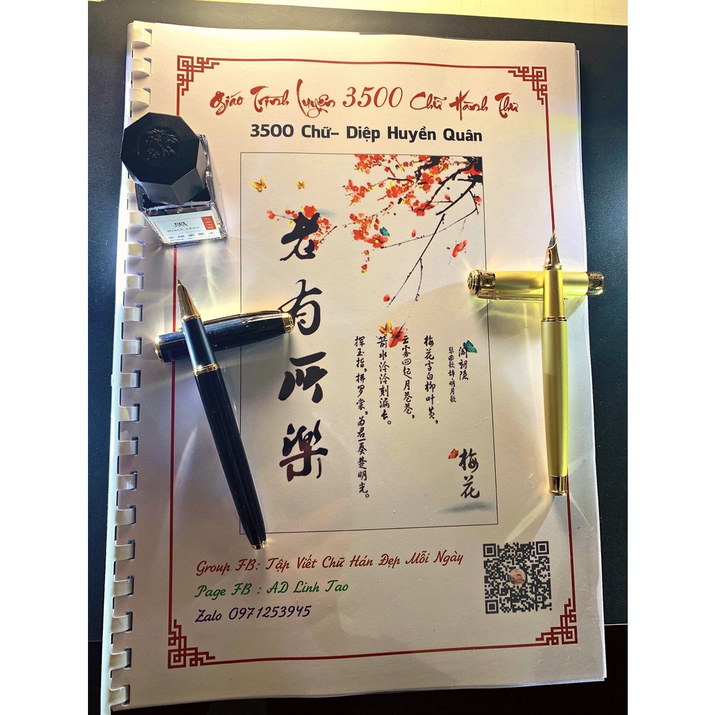Bút Máy cao cấp ngòi kín cong hành thư đẹp 0.7m - TLBM10
