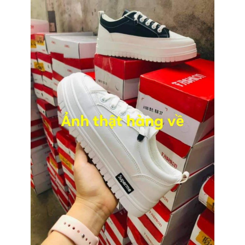Giày siêu đẹp cho chị em