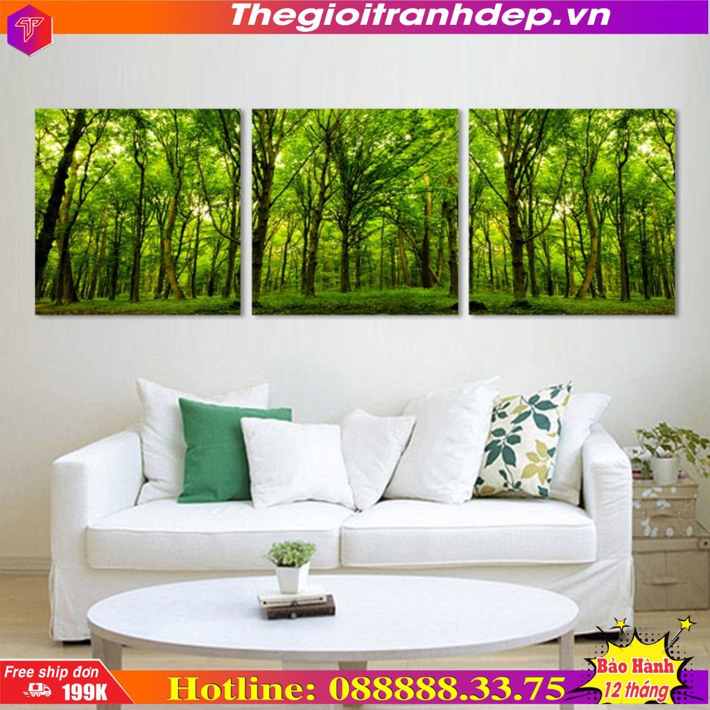 Bộ 3 Tranh Q16-86