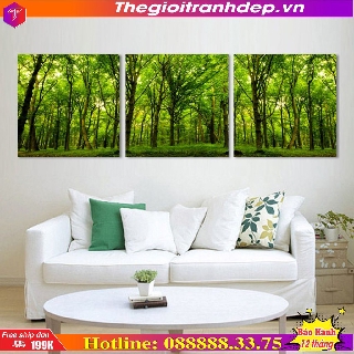 Bộ 3 Tranh Q16-86
