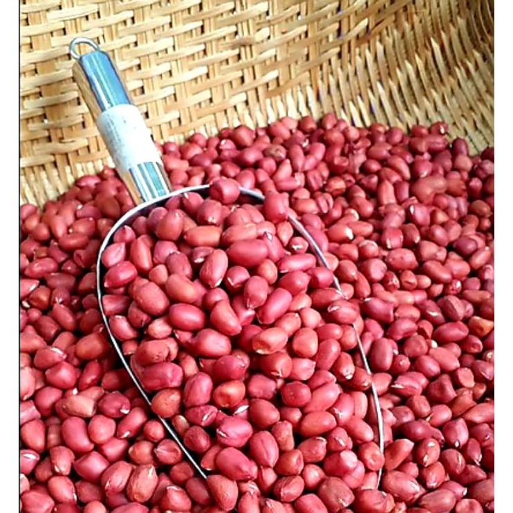 Lạc đỏ đặc sản Nghệ An hạt to chuẩn - 1kg