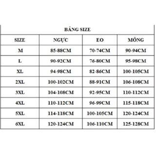 Đầm cho người mập, đầm big size