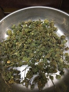 Nụ hoa tam thất 200g-500g