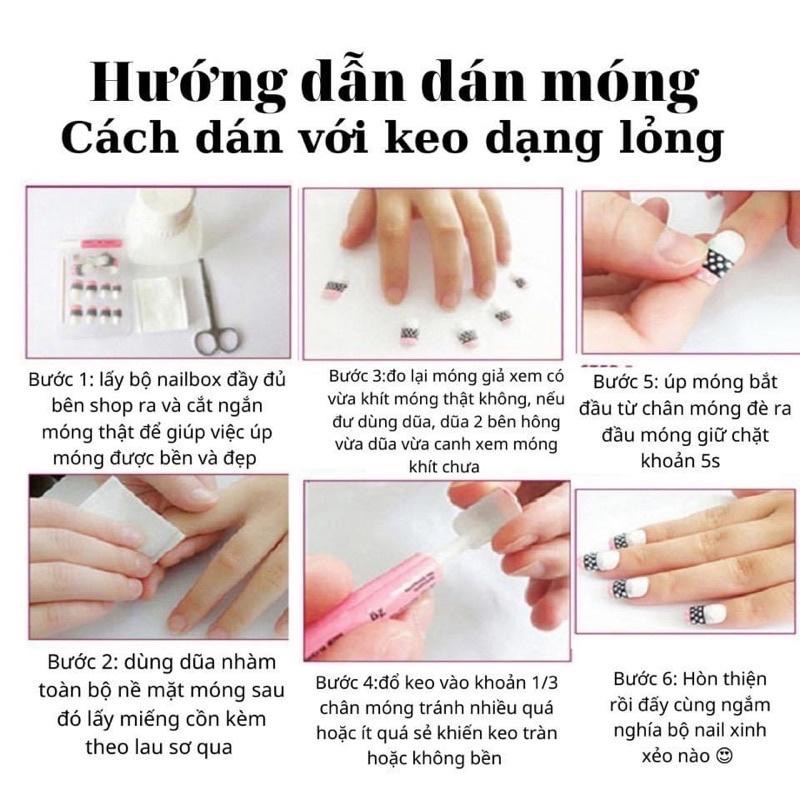 Móng tay giả D&P hộp 24 móng  NAIL BOX