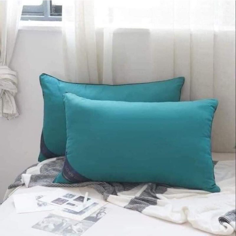 RUỘT GỐI ĐẦU 45cm x 65cm THƯƠNG HIỆU HÀNG CAO CẤP