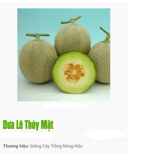 HẠT GIỐNG DƯA LƯỚI THÚY MẬT- NÔNG HỮU