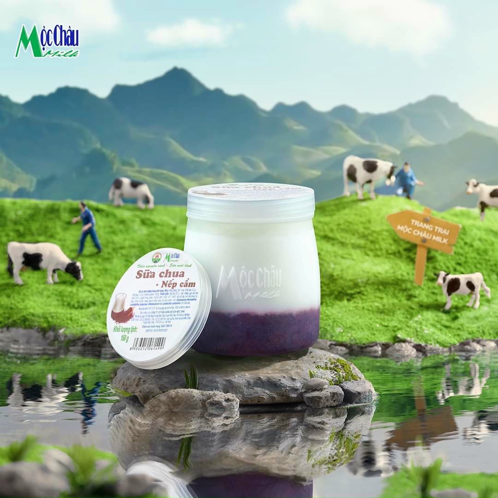 Sữa chua nếp cẩm Mộc Châu (chỉ ship hỏa tốc)
