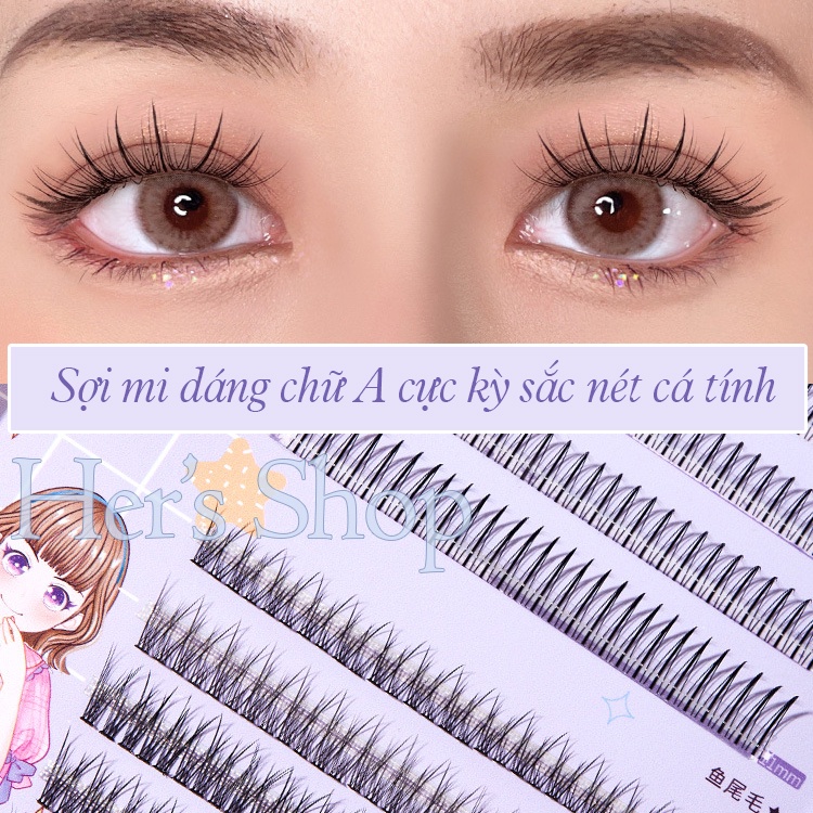 Hộp Lông Mi Giả Tách Sợi Kiểu Dáng Hot Trend Tặng Keo Dán Mi Tự Nối Tại Nhà - Mi Giả Chùm Dáng Chữ A Đuôi Cá Dễ Nối