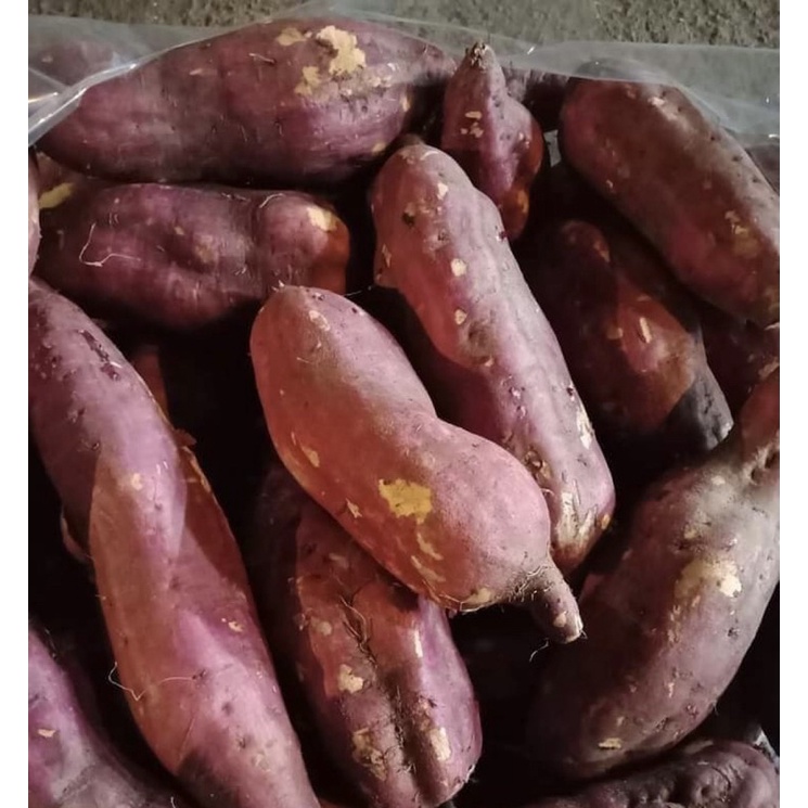 Khoai lang Nhật sạch (có Now ship)