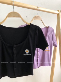 Áo croptop thêu hoa cúc